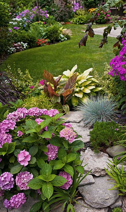 LinkNow Media Landscaping