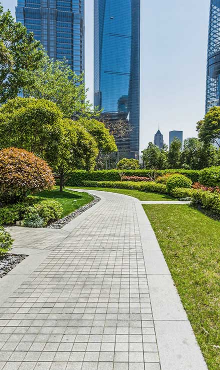 LinkNow Media Landscaping