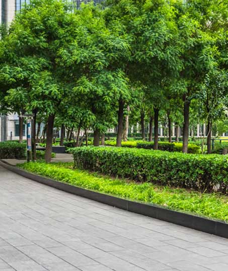 LinkNow Media Commercial Grounds Maintenance