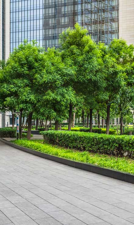 LinkNow Media Commercial Grounds Maintenance