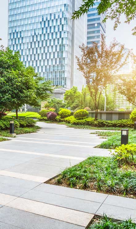 LinkNow Media Commercial Landscaping