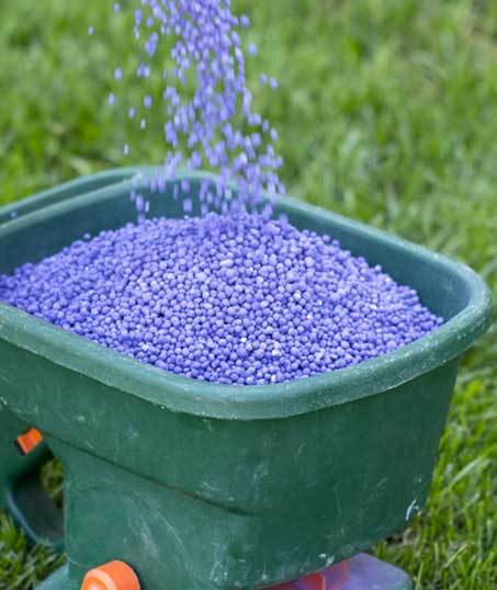 LinkNow Media Lawn Fertilization