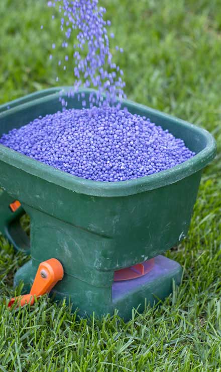 LinkNow Media  Lawn Fertilization