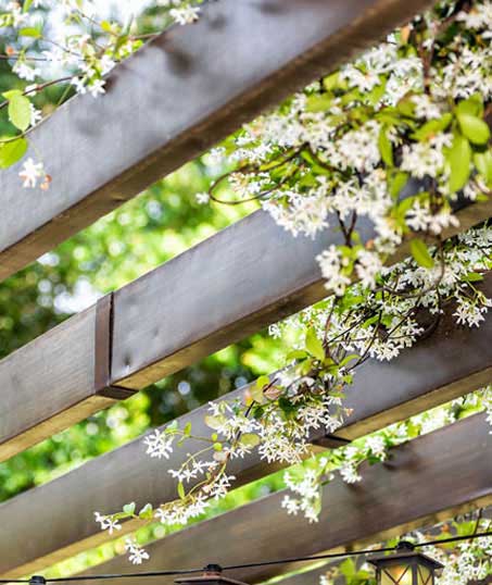 LinkNow Media Pergola