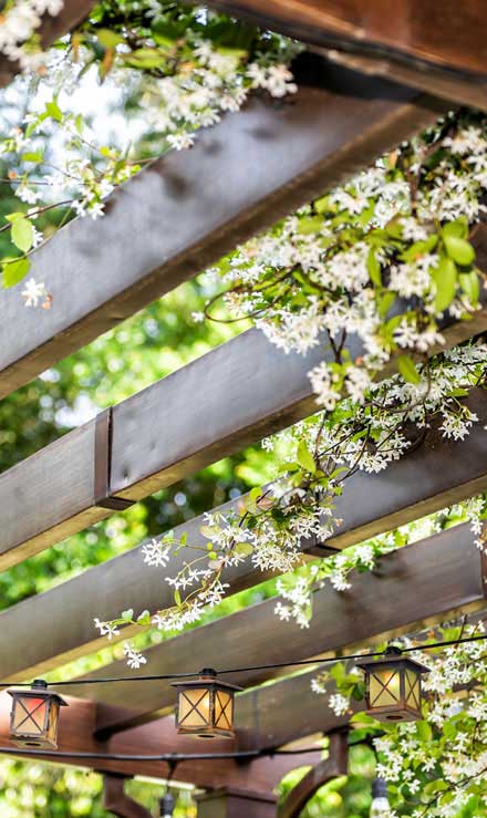 LinkNow Media Pergola