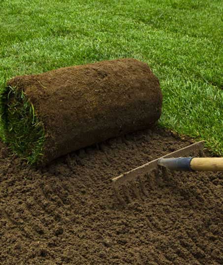 LinkNow Media Sod Installation