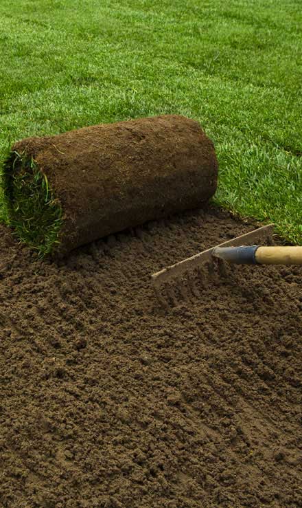 LinkNow Media Sod Installation