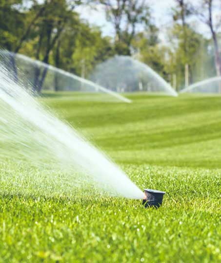 LinkNow Media Sprinkler Installation