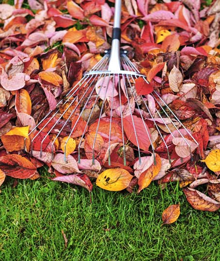 LinkNow Media Fall Clean Up