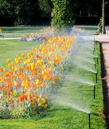 LinkNow Media Sprinkler Blowout