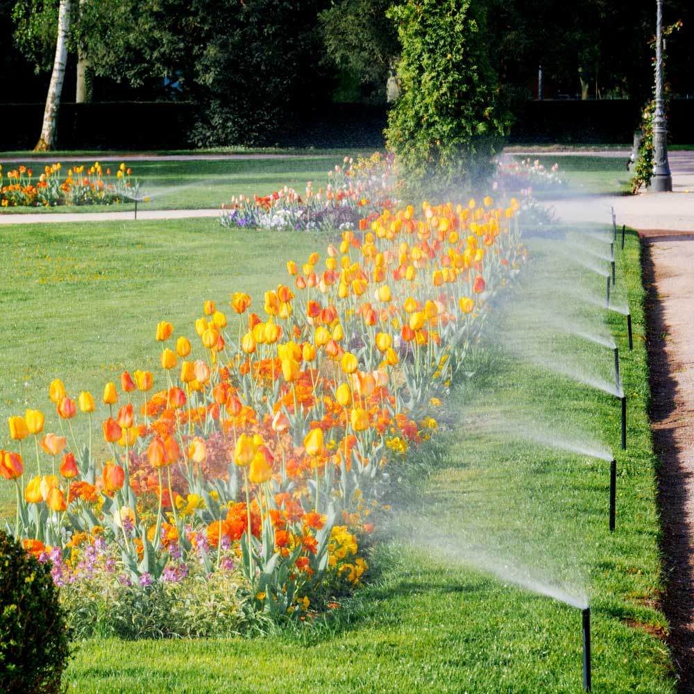 Sprinkler Blowout Service