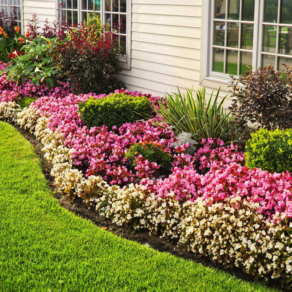 Garden Design Service