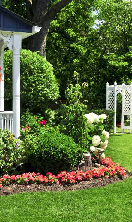 LinkNow Media Residential Landscaping