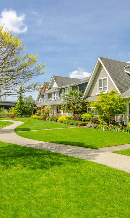 LinkNow Media Residential Lawn Care