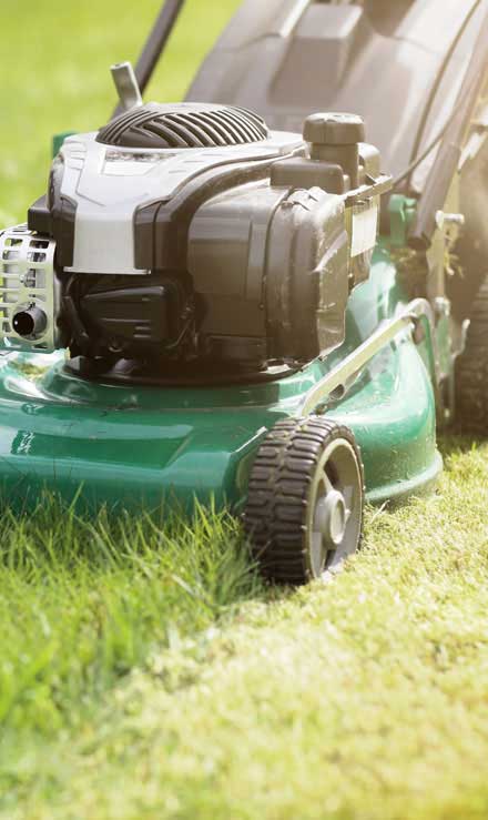LinkNow Media Residential Lawn Mowing